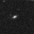 2019wwm_image