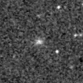 2019wyn_image