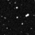 2019wys_image