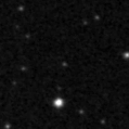 2019wzq_image