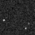2019xbj_image