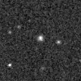 2019xcy_image