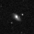 2019xdu_image