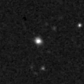 2019xfw_image