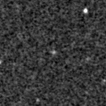 2019xgg_image