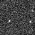 2019xgj_image