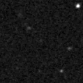 2019xgm_image