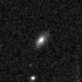 2019xgv_image