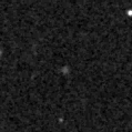 2019xid_image