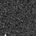 2019xko_image