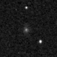 2019xle_image