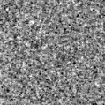 2019xot_image