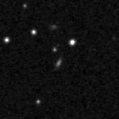 2019xoy_image