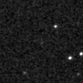 2019xpy_image