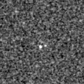 2019xsc_image
