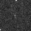 2019xys_image
