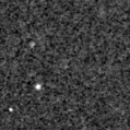 2019xzj_image