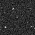 2019xzx_image