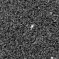 2019yad_image