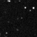 2019yak_image