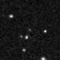 2019yam_image