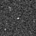 2019yau_image