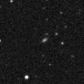 2019ybm_image