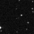 2019ycc_image