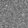 2019ycm_image