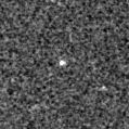 2019ycq_image