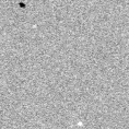 2019ydf_image