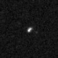 2019ydm_image