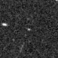 2019ydn_image