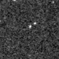 2019yii_image