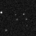 2019yim_image