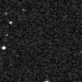 2019yiv_image
