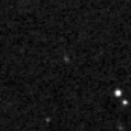 2019yjt_image