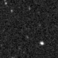 2019yju_image