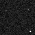 2019ylb_image