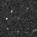 2019ylc_image
