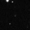 2019yld_image
