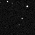 2019ylg_image