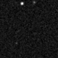 2019yli_image