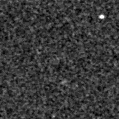 2019ylk_image
