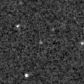 2019yll_image