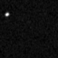 2019yln_image