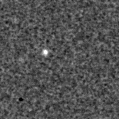 2019ylq_image