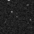 2019ylu_image