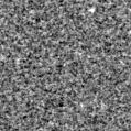2019ylw_image