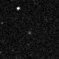 2019ymj_image